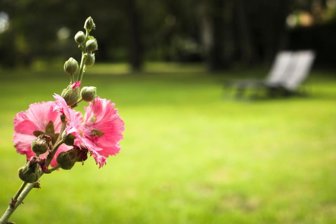 Bed and Breakfast La Belle Monsoise Экстерьер фото
